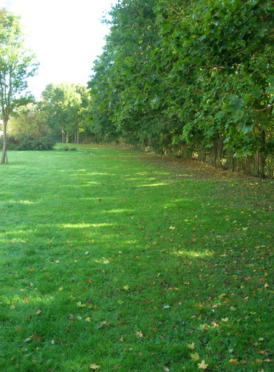 Warren Crescent