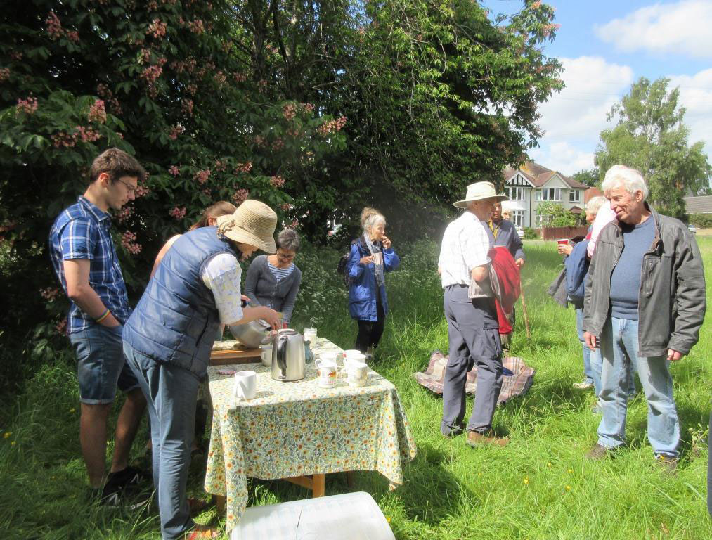 Tea under the horse chestnut tree
