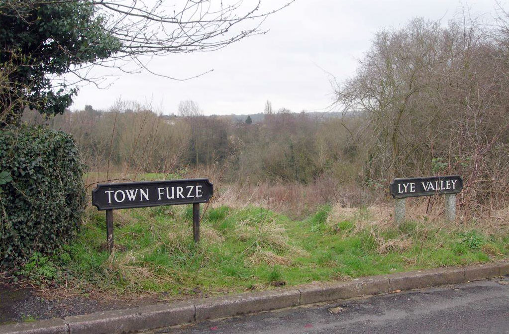 Town Furze